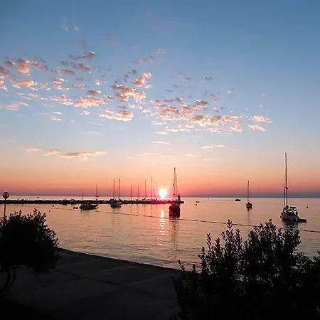 Vila Family In Novigrad