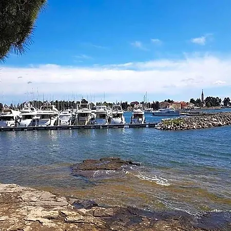 Family In Novigrad 4*